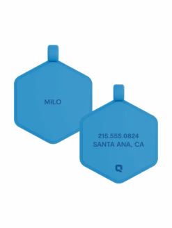 Blue Glow Classic Hex Dog ID Tag