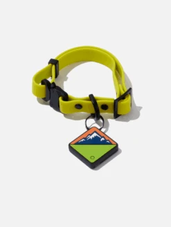Electric QALO Collar & Neon Mountain TraQ Dog ID Tag Set