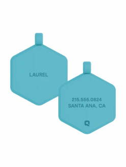 Green Glow Classic Hex Dog ID Tag