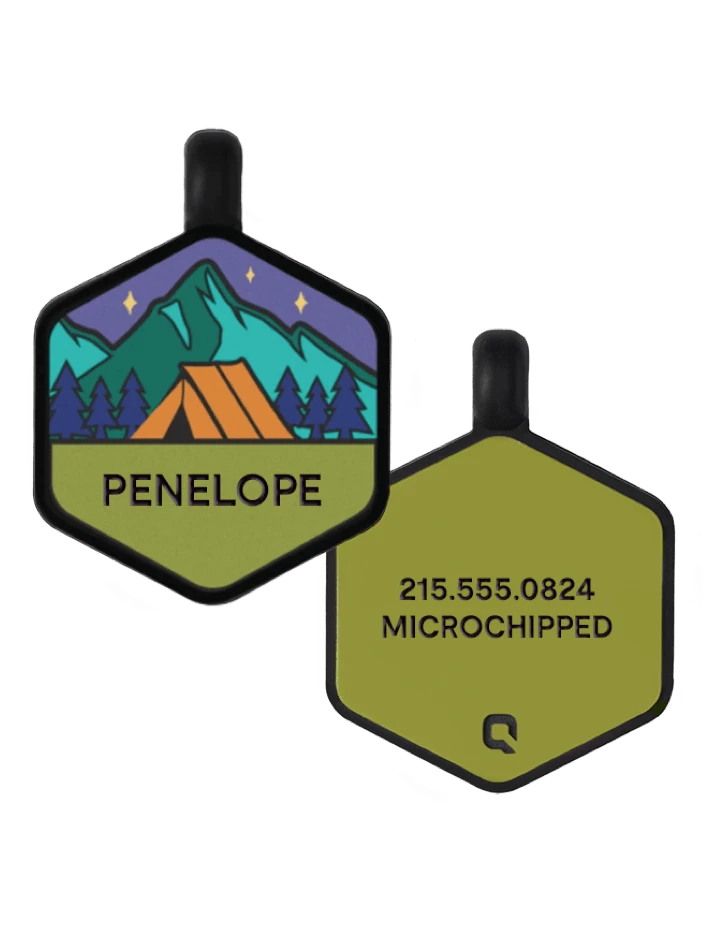 Base Camp Silicone Dog ID Tag