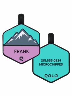 Bloom Mountain Silicone Dog ID Tag