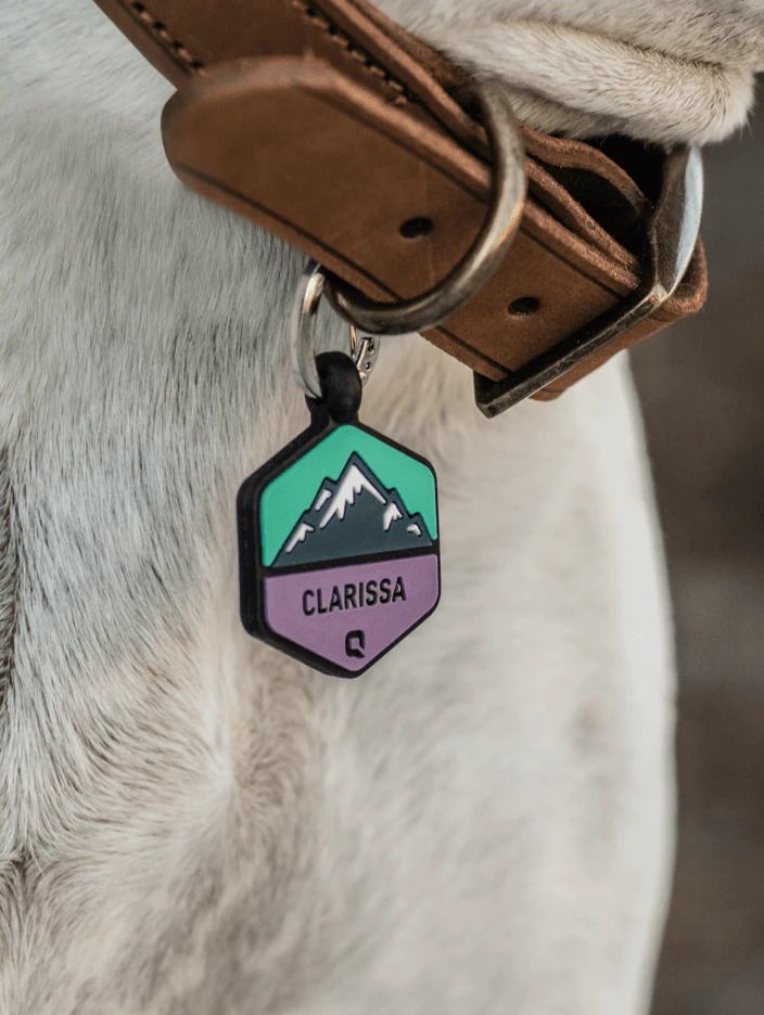 Frost Mountain Silicone Dog ID Tag - Image 3