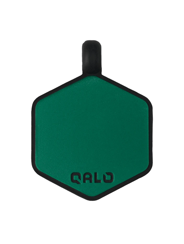 Dusk Wild One Silicone Dog ID Tag - Image 3