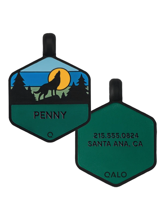 Dusk Wild One Silicone Dog ID Tag - Image 9