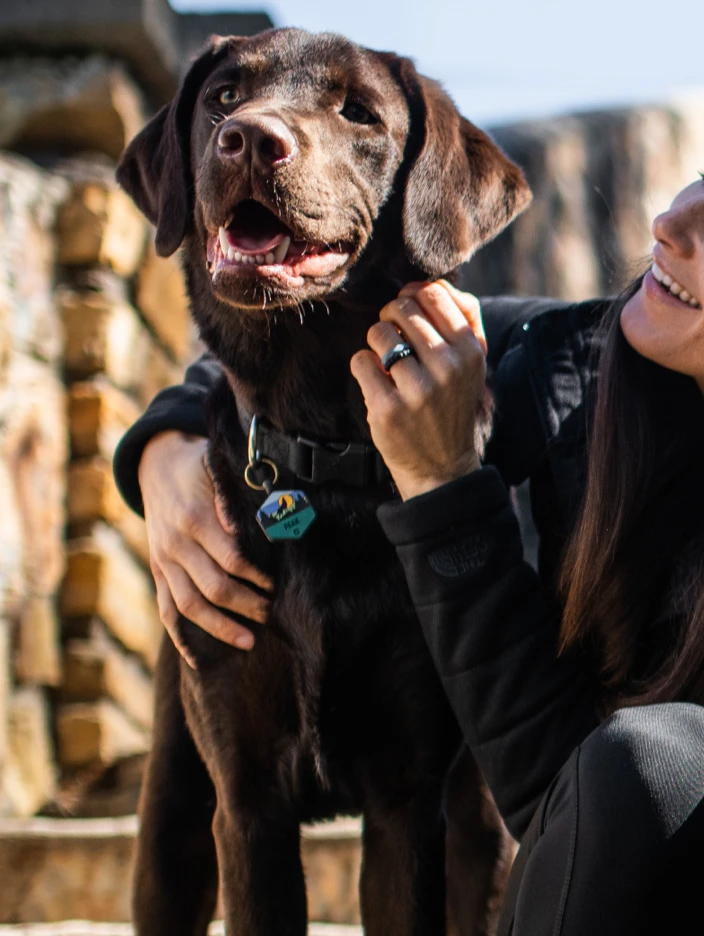 Dusk Wild One Silicone Dog ID Tag - Image 6