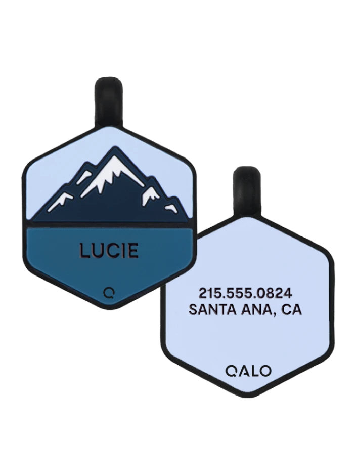 Frost Mountain Silicone Dog ID Tag - Image 12