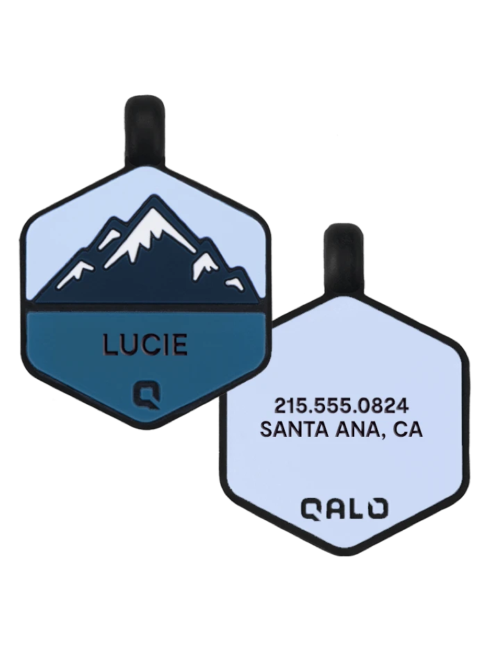 Frost Mountain Silicone Dog ID Tag