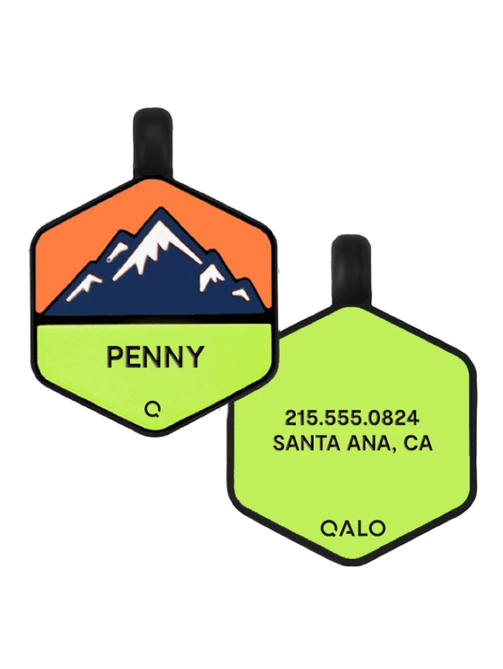 Neon Mountain Silicone Dog ID Tag - Image 12