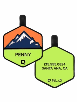 Neon Mountain Silicone Dog ID Tag