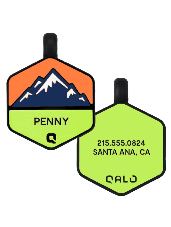Neon Mountain Silicone Dog ID Tag