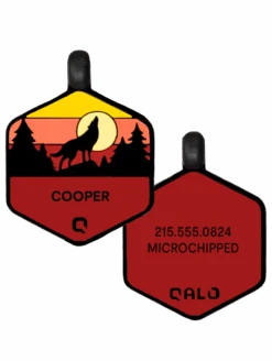 Sunrise Wild One Silicone Dog ID Tag