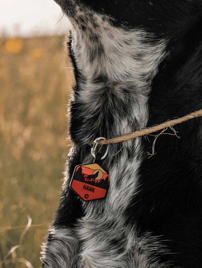 Neon Mountain Silicone Dog ID Tag - Image 2