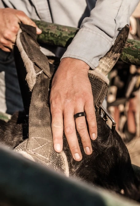 Men's Classic Q2X™ Silicone Ring - Image 9