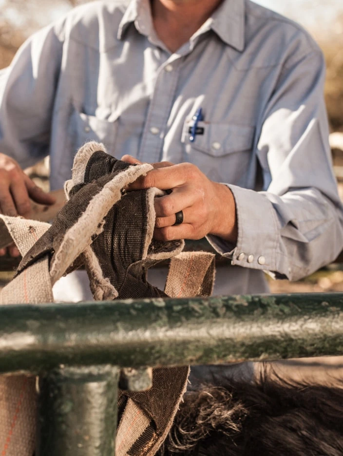 Men's Classic Q2X™ Silicone Ring - Image 3