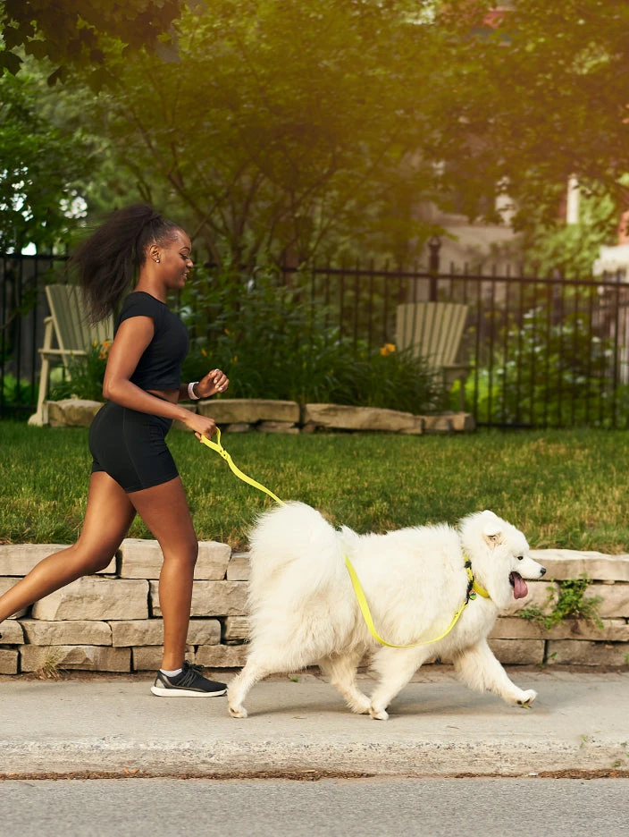 Electric QALO Leash & Collar Set - Image 3