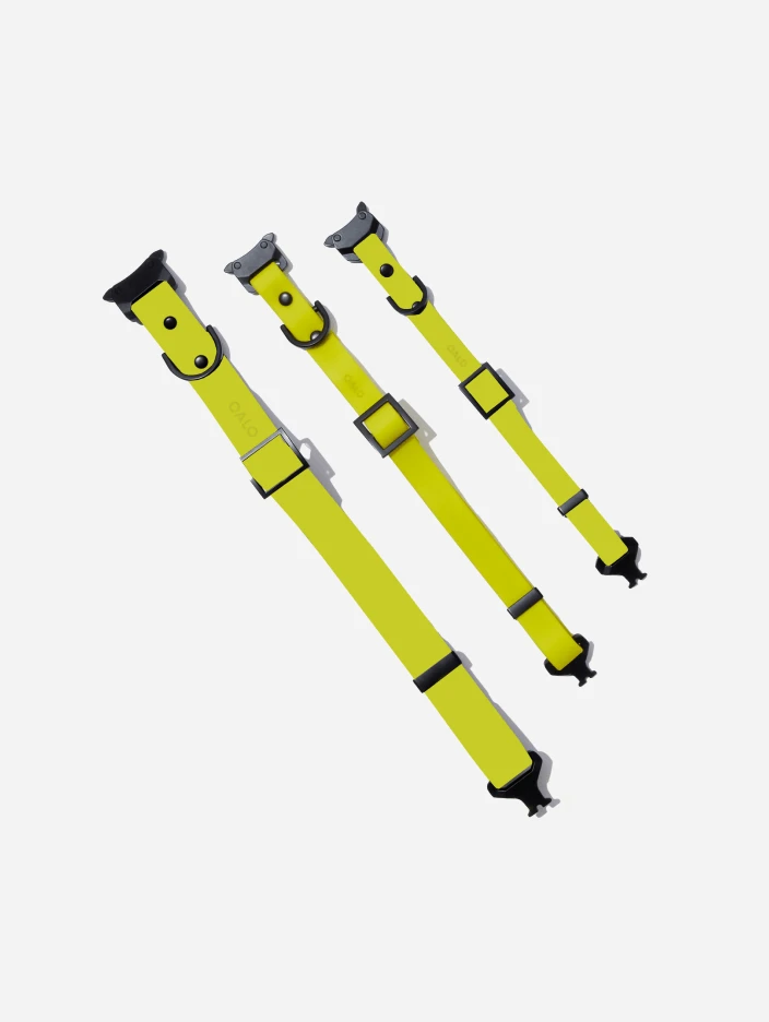 Electric QALO Leash & Collar Set - Image 4