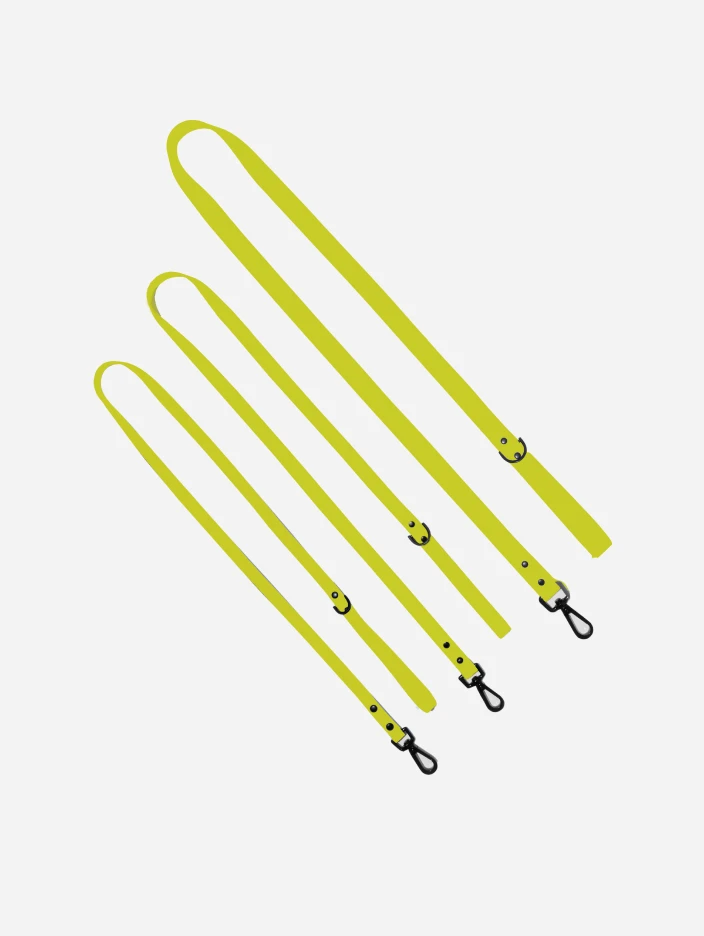 Electric QALO Leash & Collar Set - Image 9