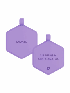 Violet Glow Classic Hex Dog ID Tag
