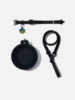 Charcoal QALO Leash & Collar & Base Camp Silicone Dog ID Tag Set