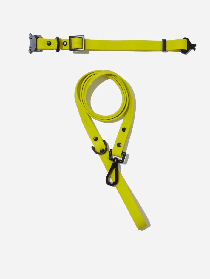 Electric QALO Leash & Collar Set