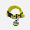 Electric QALO Collar & Neon Mountain Silicone Dog ID Tag Set