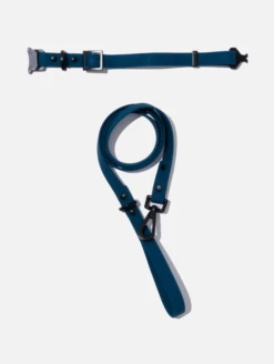 Navy QALO Leash & Collar Set