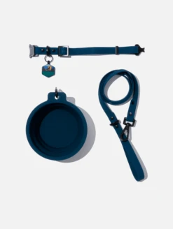 Navy QALO Leash & Collar & Dusk Wild One Silicone Dog ID Tag Set